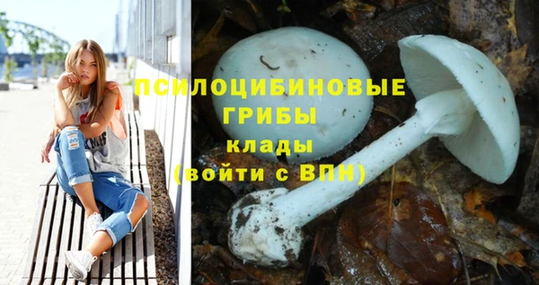дурь Михайловск