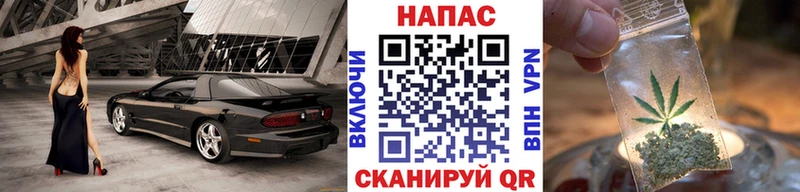 Купить где  Мещовск  Бошки Шишки VHQ 